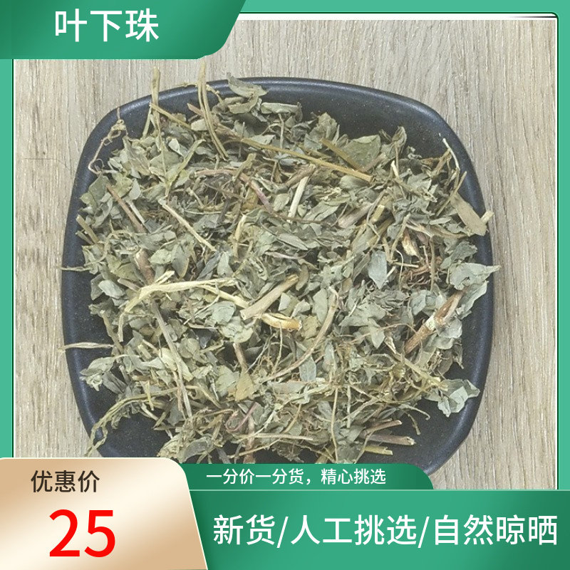 山间谷草 叶下珠 500g珍珠草干夜下珠草叶片下珠非中药材粉