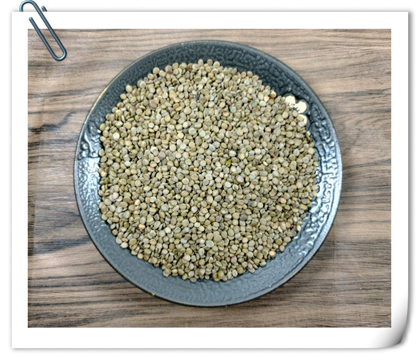 山间谷草 望江南 500g 羊角豆 山绿豆 假决明狗屎豆非野生中药材