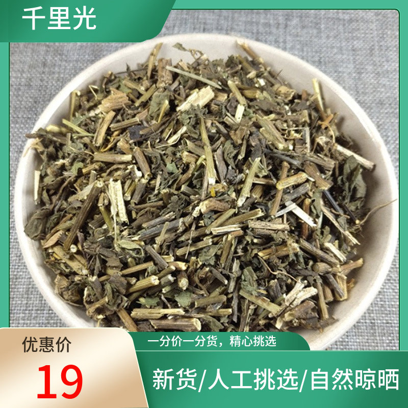 千里光 500g 九里明 九里光 黄花母 新货挑选非中药材粉干货