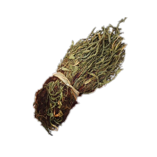 马蹬草 500g 过桥草 还阳草小石韦马蹬草新鲜干货挑选 非中药材粉