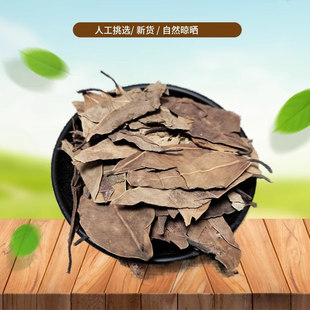 正宗 榕树叶 500g小榕叶 落地金钱 干叶子榕树叶子中药材