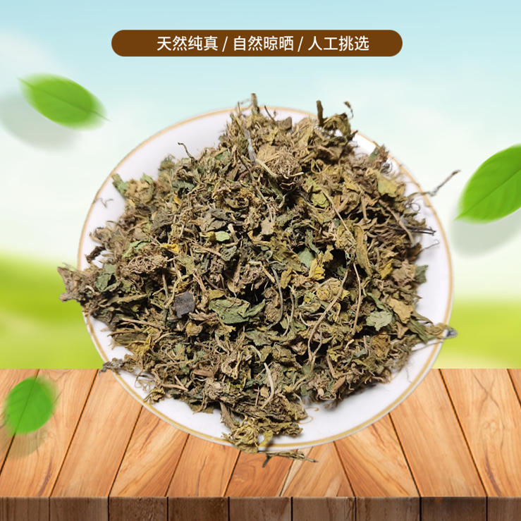 山间谷草 匍伏堇500g别名白地黄瓜,地白菜,野白菜,黄瓜香