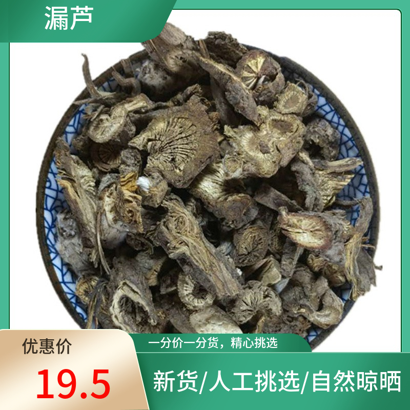 山间谷草漏芦500g新鲜干货