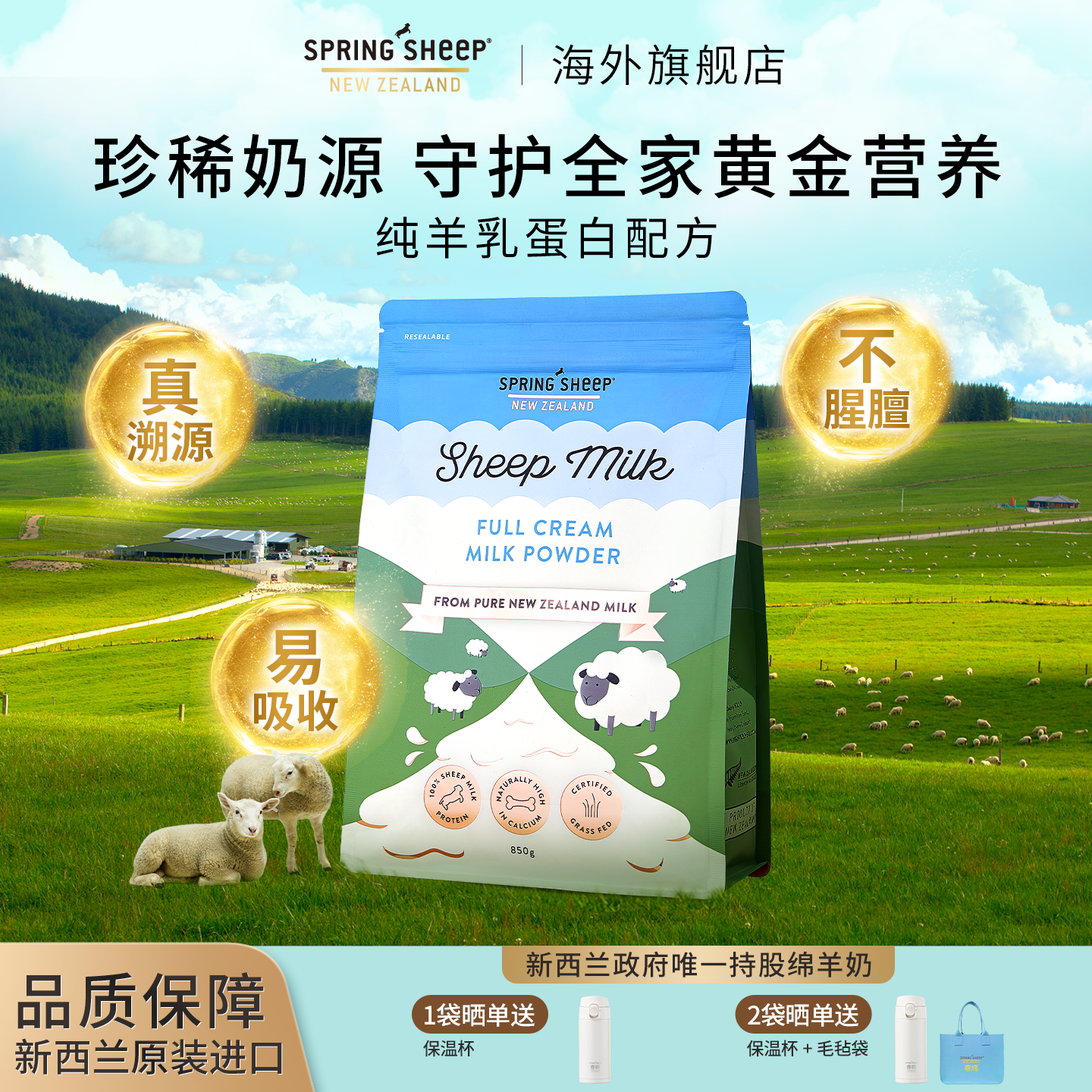 SpringSheep春绵羊奶粉原装进口女士孕妇乳铁蛋白高钙全脂奶850g