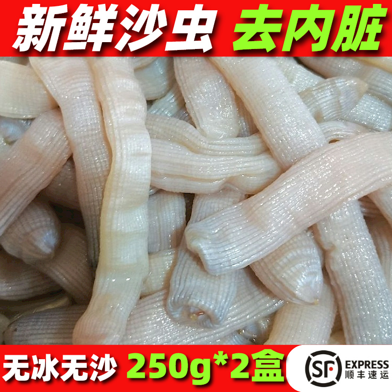 【小编推荐】新鲜沙虫速冻发货