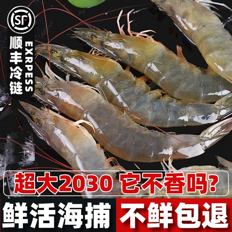 青岛盐冻鲜活超大新鲜对虾冷冻海捕2030盐田大虾海洋盒装基围虾 水产肉类/新鲜蔬果/熟食 冻虾 原图主图