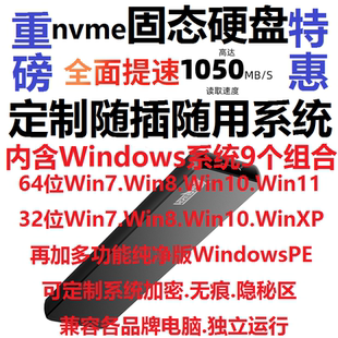 WTG固态nvme硬盘PE/7/8/10/11/XP多系统USB即插即用Windows To Go