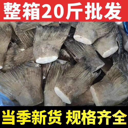 深海海捕鸦片鱼头商用发雅片