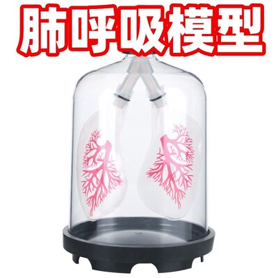 肺呼吸模型材料包膈肌运动模拟器系统人体初中制作演示生物教学具