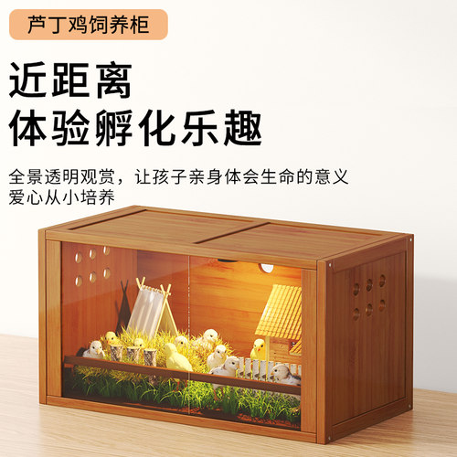 毛兔家芦丁鸡饲养箱宠物保温育雏箱D爬宠守宫仓鼠饲养柜透明门鸟
