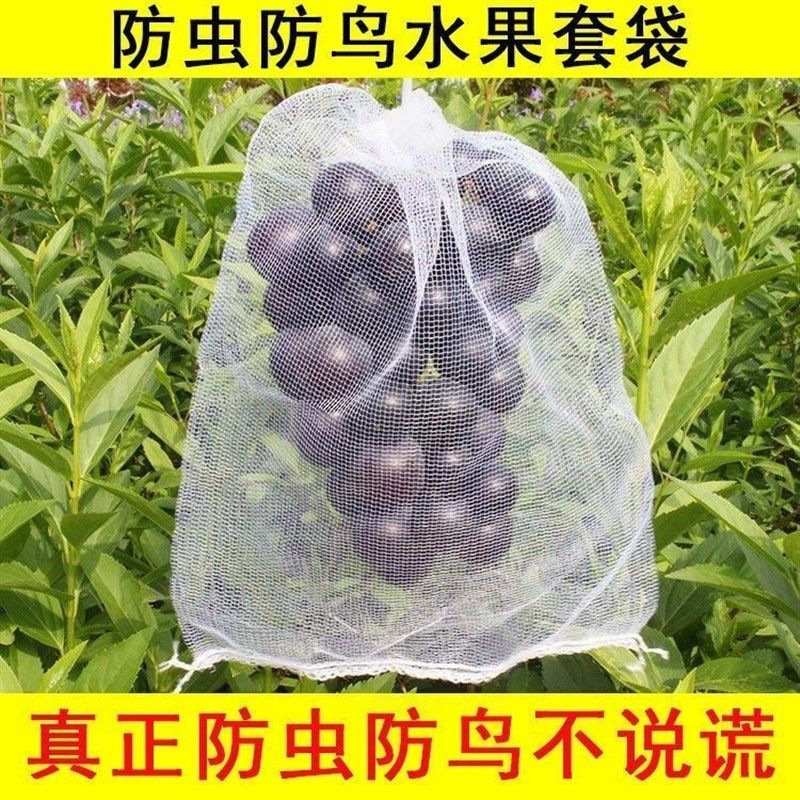 果树防虫网袋防鸟纱网袋保护葡萄袋E无花果番石榴草莓套袋桃子套,鲜花速递/花卉仿真/绿植园艺,其它园艺用品,淘宝优惠券,粉丝福利购,淘宝优惠卷