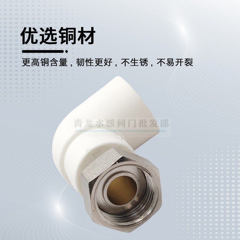 PP-R内丝活接4分6分1寸2寸PPR水F管内丝活动接头热熔管热水器20管