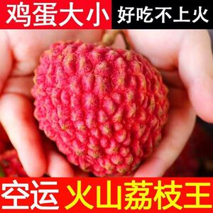 海南火山荔枝王新鲜永兴精品大果水果现摘【空运】正宗采摘当季