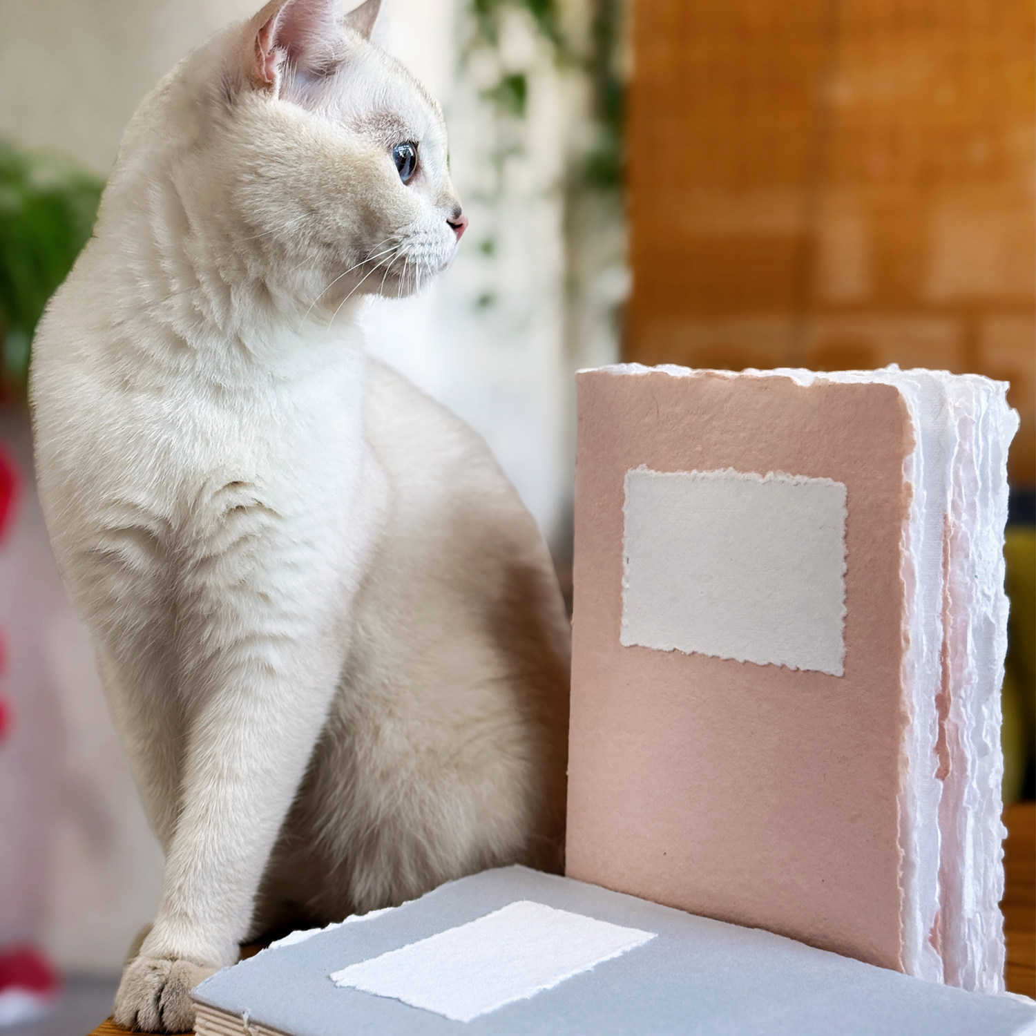 插画良品手工本印度毛边水彩纸本