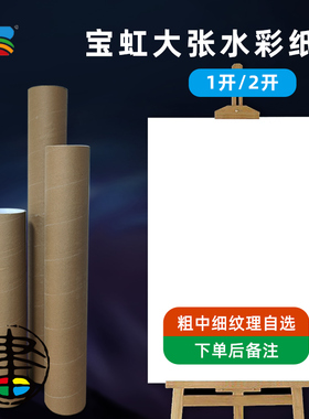 BAOHONG宝虹全开半开水彩纸大张纸 1开2开纸 粗中细纹理300g全棉浆水彩纸 卷筒发货