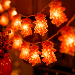 过年春节led小彩灯闪灯串灯新年装饰房间布置氛围灯阳台庭院挂灯