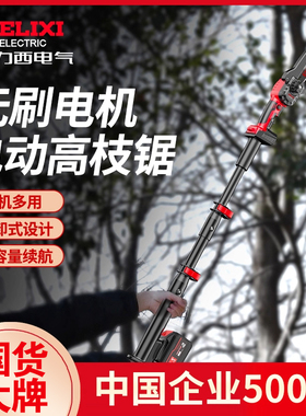 德力西锂电高枝锯电动高枝剪加长杆伸缩充电式修剪果树园林高空锯