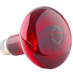 适用于国仁红外线理疗仪灯泡配件三频红外线100W灯泡原厂发红光