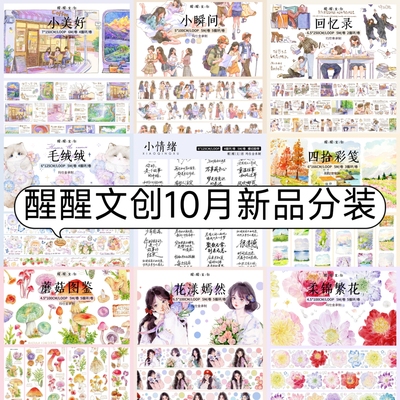 醒醒文创手帐胶带水彩手绘分装