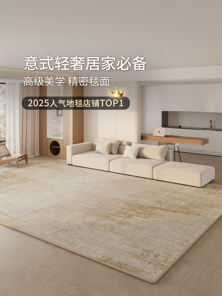 意式轻奢客厅地毯2025新款极简免洗可擦卧室床边毯高级感沙发垫