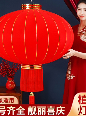2025新款大红灯笼挂饰过年新年阳台大门口一对户外春节装饰吊宫灯