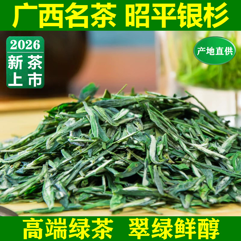 2026年早春茶 广西名茶 昭平银杉茶 高端绿茶中小叶嫩芽散装茶叶