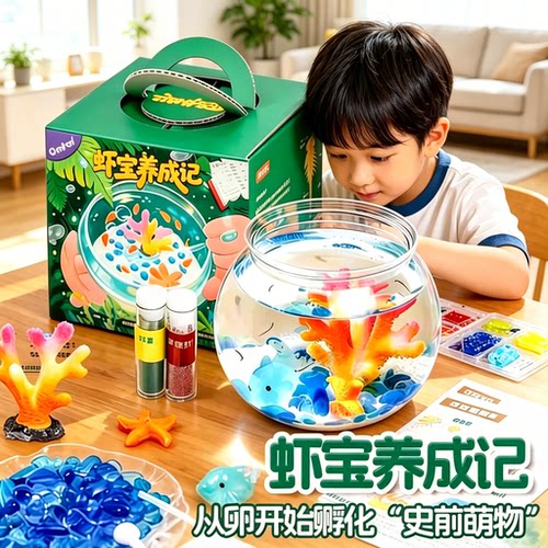儿童益智科学实验套装虾宝养成记