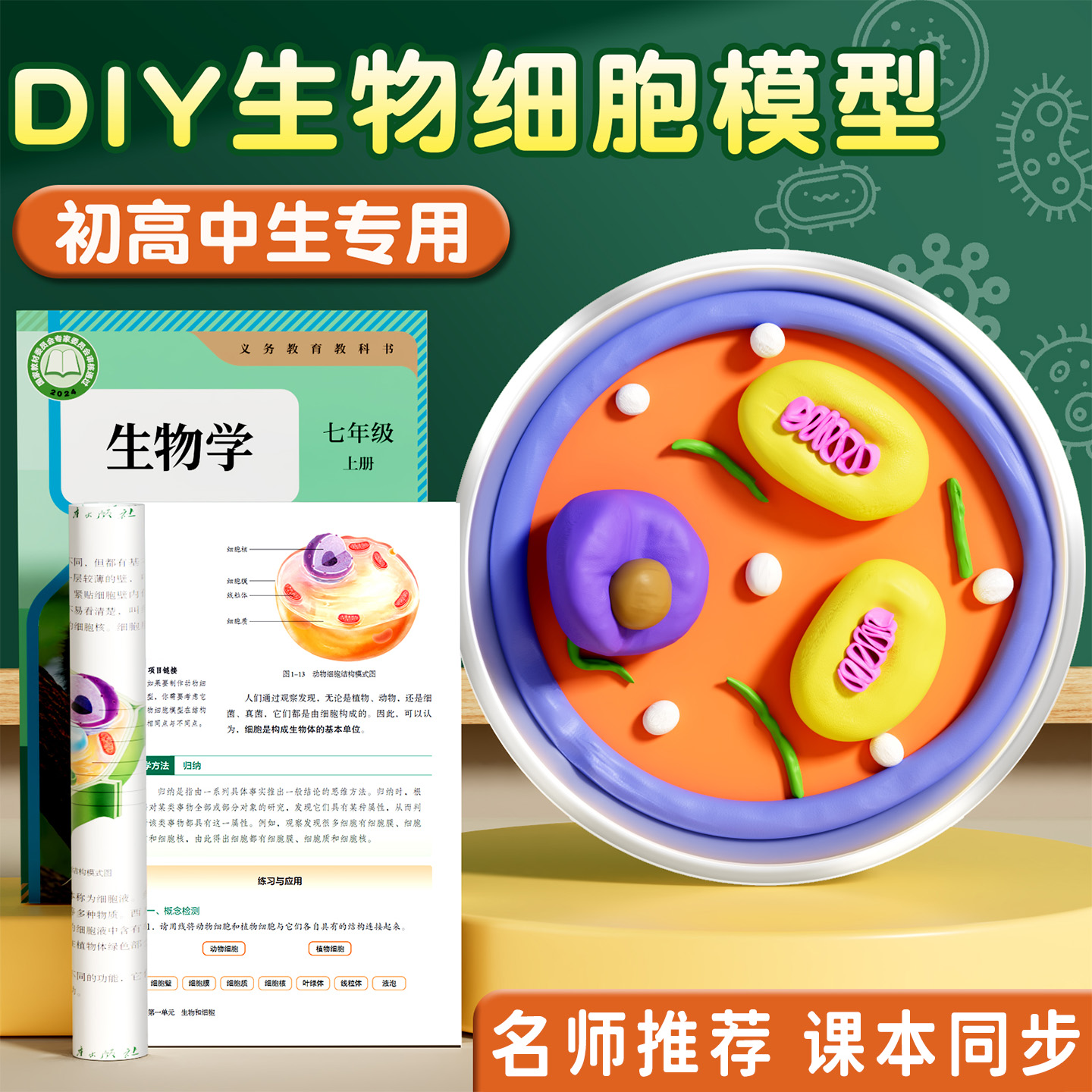 七年级动植物细胞模型手工