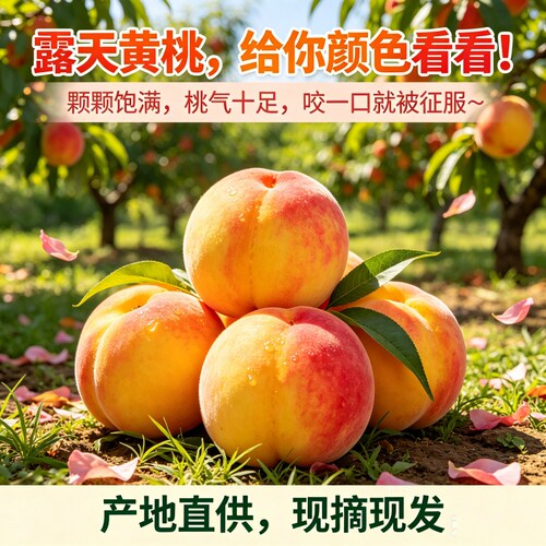 京东包邮新鲜彩虹黄桃黄金蜜桃子