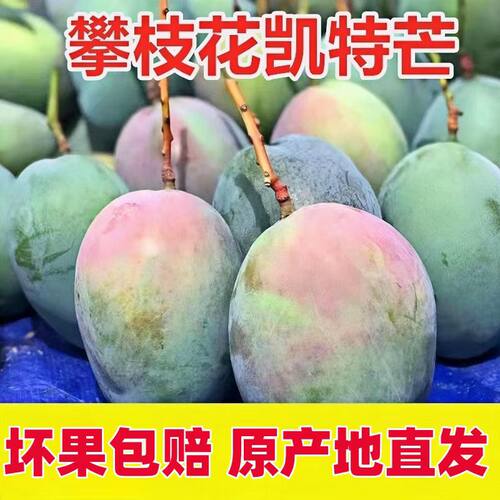 四川攀枝花凯特芒新鲜芒果10斤甜