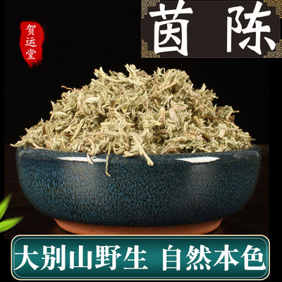 新鲜茵陈中药材500g野生白蒿泡水