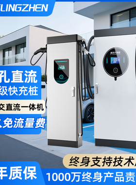 家用新能源直流充电桩7/20/40/60/80/120/240kw汽车9孔超级快充桩