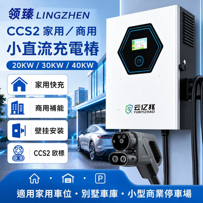 领臻20KW30KW40KW欧标CCS2直流桩