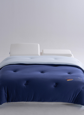 2025年秋冬新款德绒暖冬被加厚保暖8斤冬被6斤春秋被四季通用