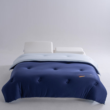 D25年秋冬新款德绒暖冬被双人加厚保暖8斤冬被被芯6斤春秋四季被