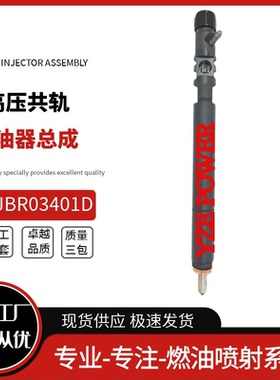 EJBR03401D电喷油嘴总成A6640170021适用于双龙享御D20DT优质货源