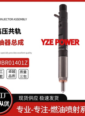 EJBR01401Z共轨柴油喷油器166003978R适用于NISSAN MIC全新品质