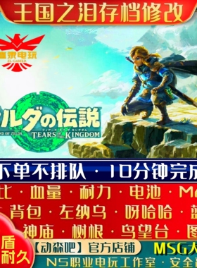 NS2塞尔达传说王国之泪存档修改Msg大师剑左纳乌卢比耐力电池蓝图