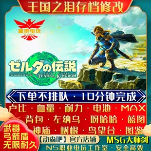 NS2塞尔达传说王国之泪存档修改Msg大师剑左纳乌卢比耐力电池蓝图