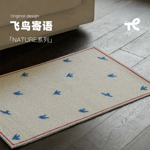 简约除尘防滑丝圈门垫入户垫