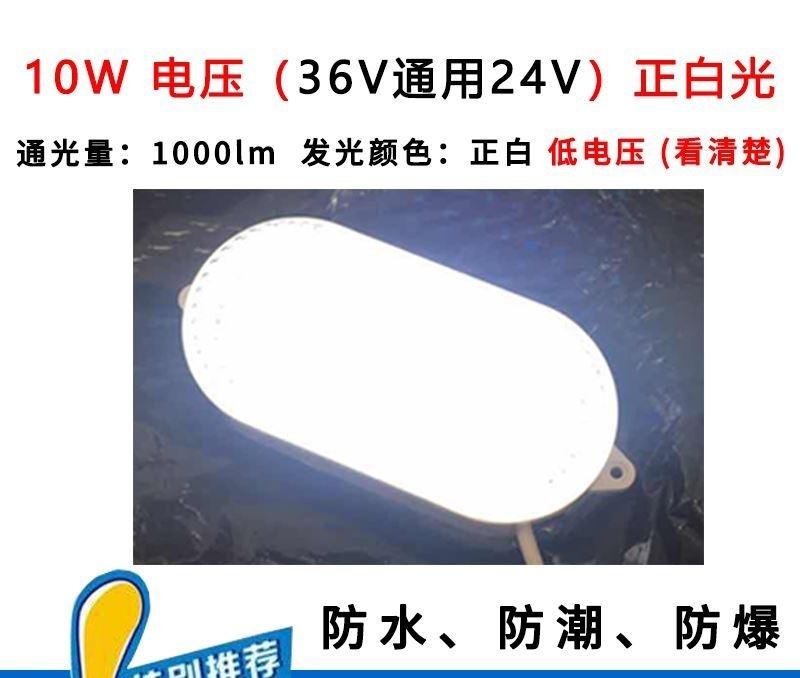 零下低压冷藏库防水厂房洗手间冷库灯led专用澡堂照明节能室内10W