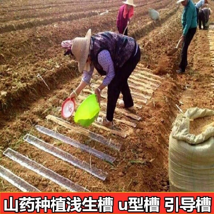 种淮山塑料槽50条实用神器多功能防潮u型槽农用种植槽山药1米生长
