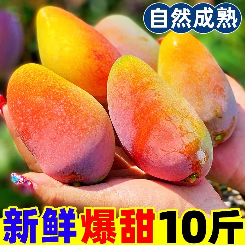海南贵妃芒树上熟芒果新鲜10水果大果当季整箱现摘红金龙辣椒芒
