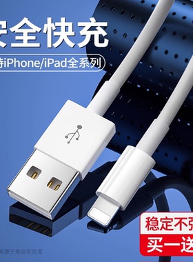 能适适用iPhone苹果iPad平板11pro快充13数据线12充电器14线max手机充电线plus闪20WPD快充冲电2米加长XS