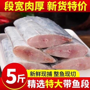 带鱼段新鲜中段无冰带鱼肉冷冻鲜活小眼带鱼大号雷达网海捕水产