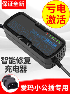 爱玛小公插自动断电电动车电瓶充电器48V12AH60V20AH72V智能通用