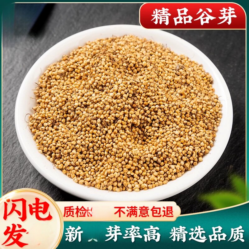 500g谷芽炒谷芽谷牙生谷芽炒熟的泡茶另售炒麦芽山楂鸡内金