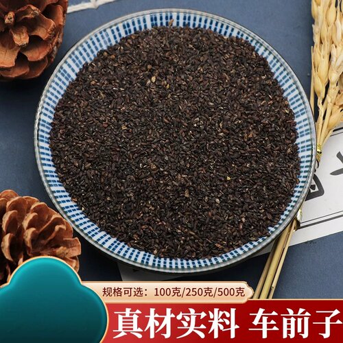 车前子500克车前子车前子粉车前仁车钱车前籽车前子籽分装采收