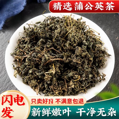 蒲公英茶采收农产品新鲜散茶自封袋分装干草不袋装清洗浦公英叶根