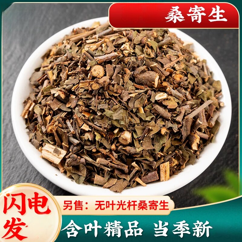新鲜桑寄生500g新采收桑寄生茶梧州桑寄生农家另售独活槲寄生